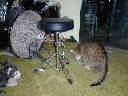 DSCN1410.JPG