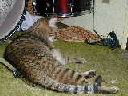DSCN1412.JPG