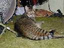 DSCN1413.JPG