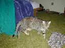 DSCN1416.JPG
